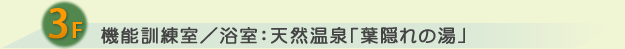 3F 機能訓練室／浴室：天然温泉「葉隠れの湯」